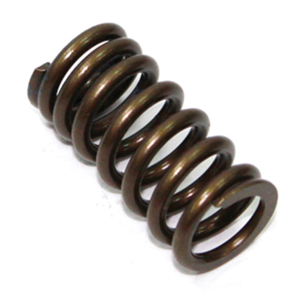 PSYCHIC INTAKE VALVE SPRING (XU 09526IS)