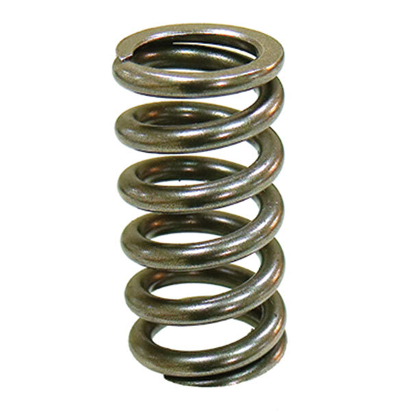 PSYCHIC INTAKE VALVE SPRING (XU 09551IS)