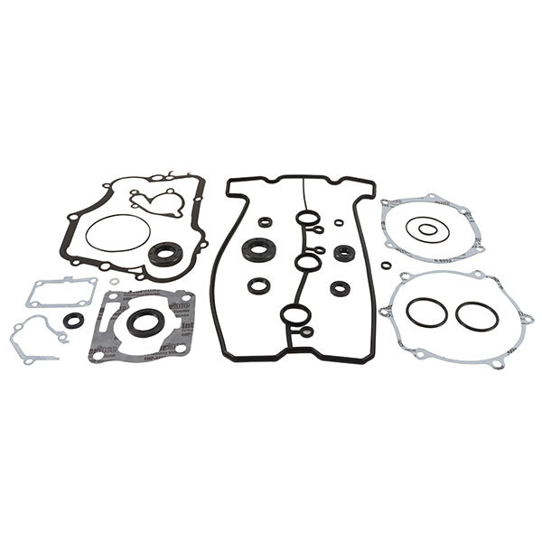 VERTEX GASKET SET & OIL SEALS (8110008)