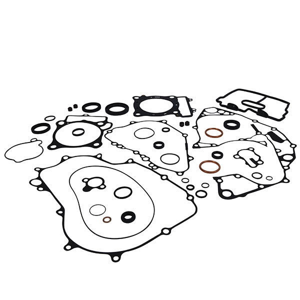 VERTEX GASKET SET & OIL SEALS (8110030)