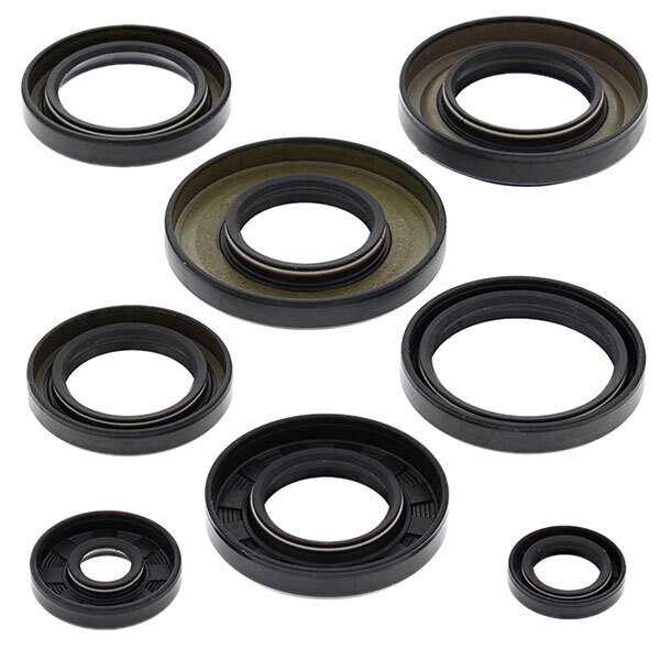 Kit de joints d'étanchéité pour moteur Vertex (822253)