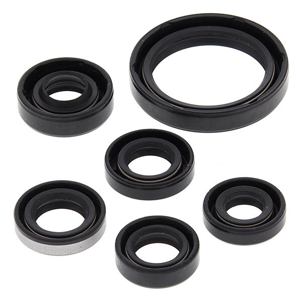 Vertex Engine Oil Seal Kit (822334)