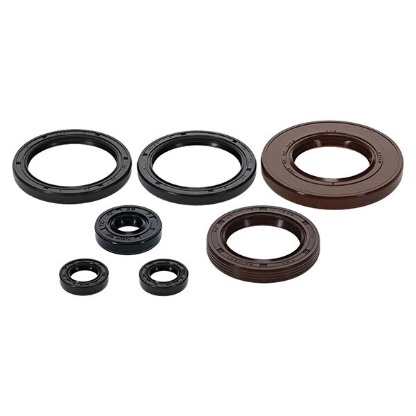 Kit de joints d'étanchéité pour moteur Vertex (822401)