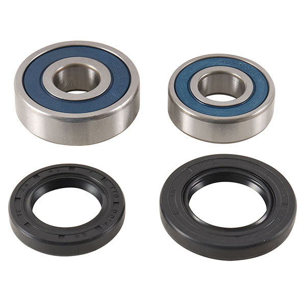 ALL BALLS WHEEL BEARING KIT (25 1791)