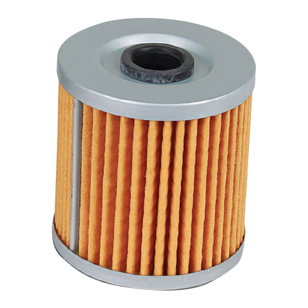 PROFILTER OIL FILTER (PF 123)