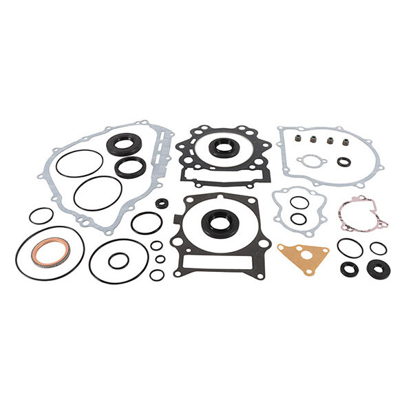 VERTEX GASKET SET & OIL SEALS (811960)