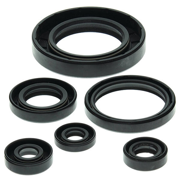 VERTEX ENGINE OIL SEAL KIT (822204)