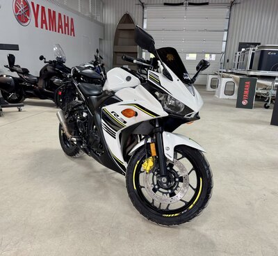 2017 Moto Yamaha YZF-R3