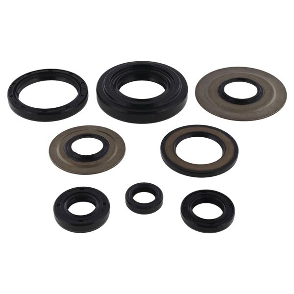 Kit de joints d'huile moteur Vertex (822155)