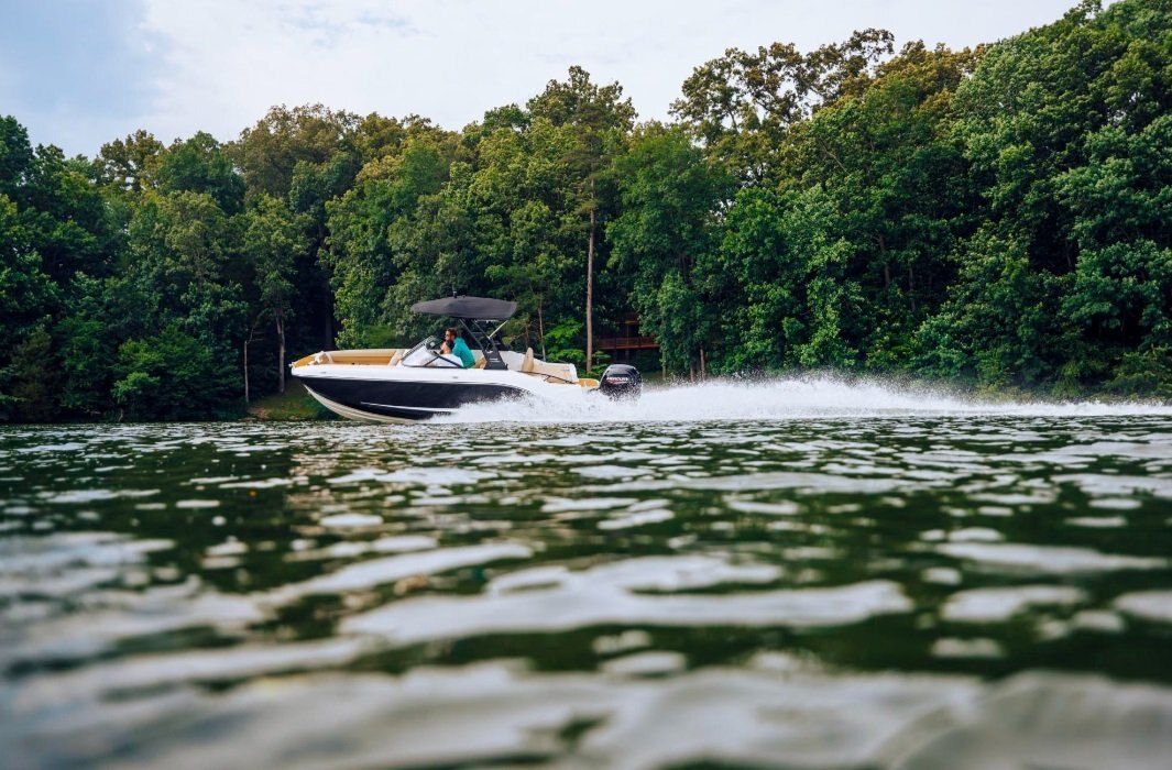 2025 Bayliner D20 Gray Hull Sides (White Bottom)