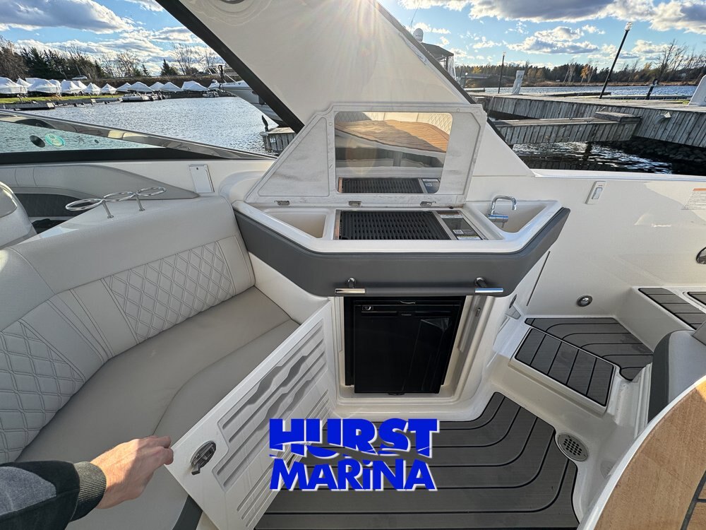 2024 SeaRay 310SLX Outboard