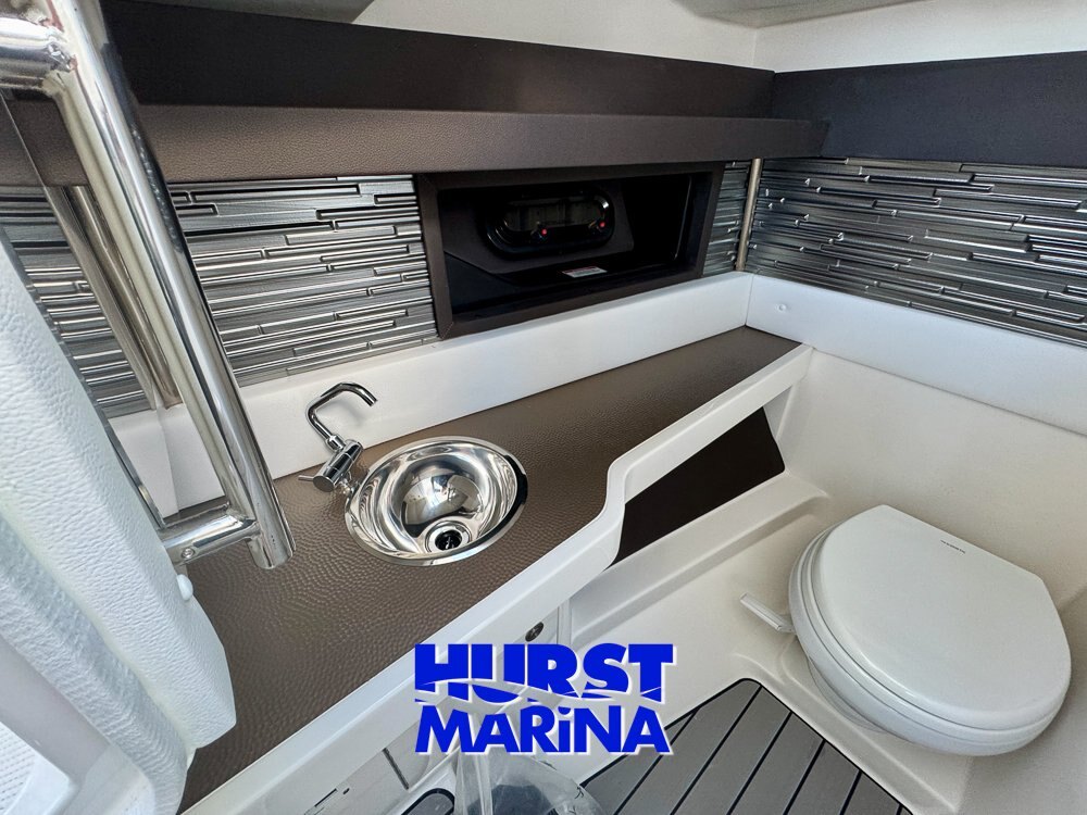 2024 SeaRay 310SLX Outboard