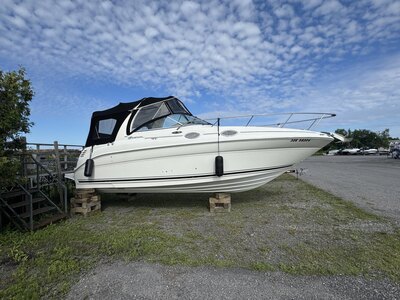 2004 SeaRay 260 Sundancer