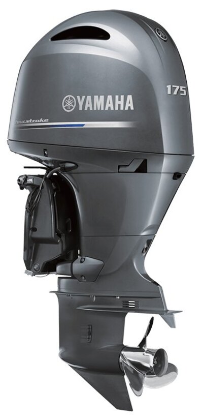Yamaha F175