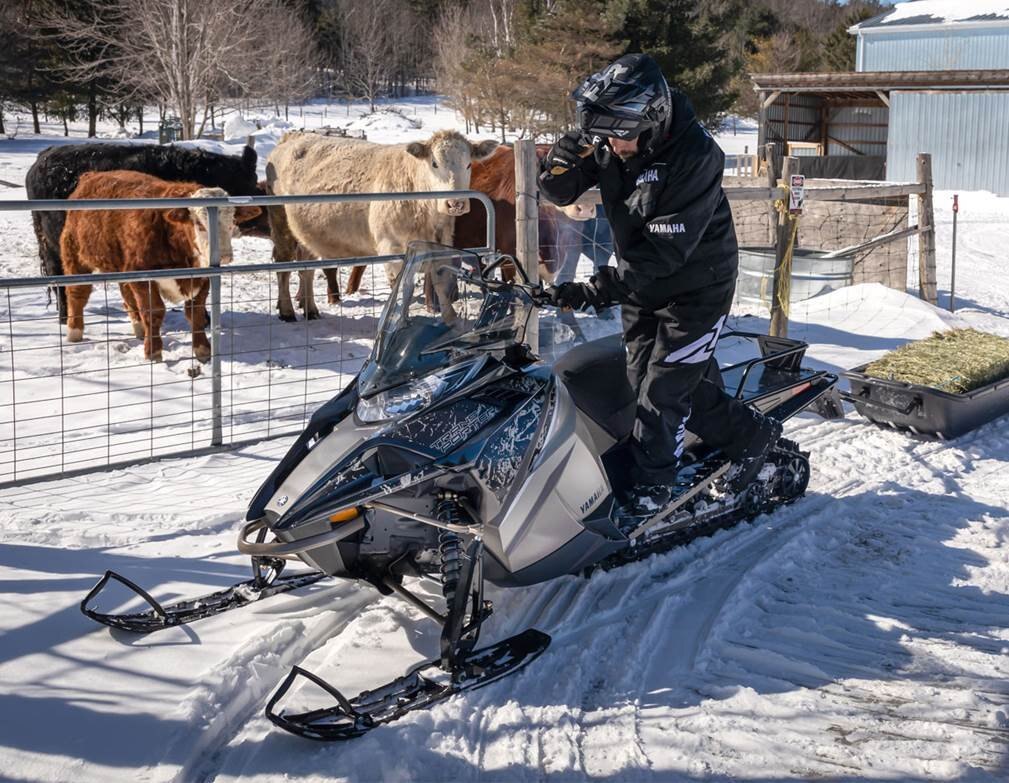 2023 Yamaha TRANSPORTER 800