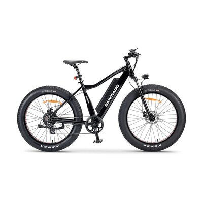 SLANE SANTIAGO FAT TIRE