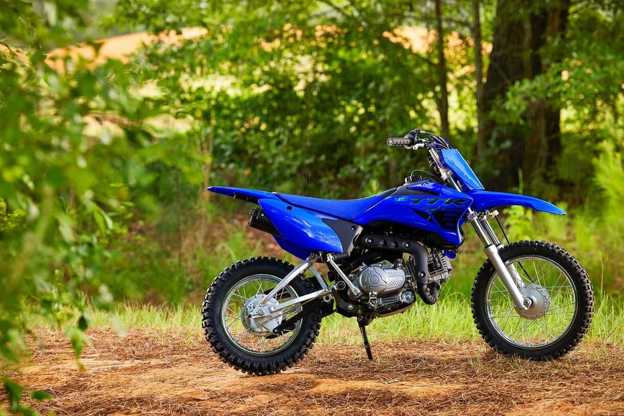 2025 YAMAHA TTR110ESL