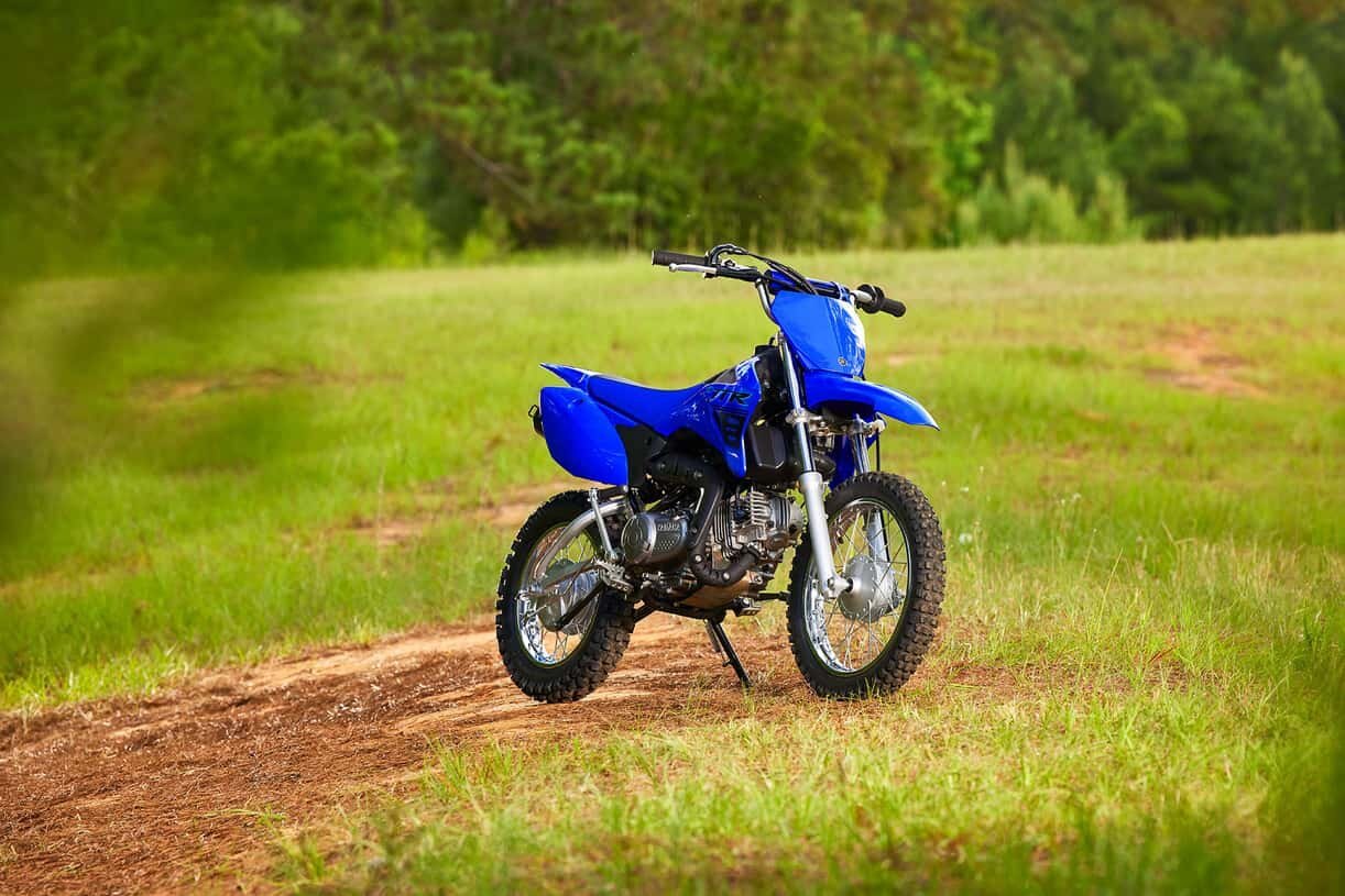 2025 YAMAHA TTR110ESL