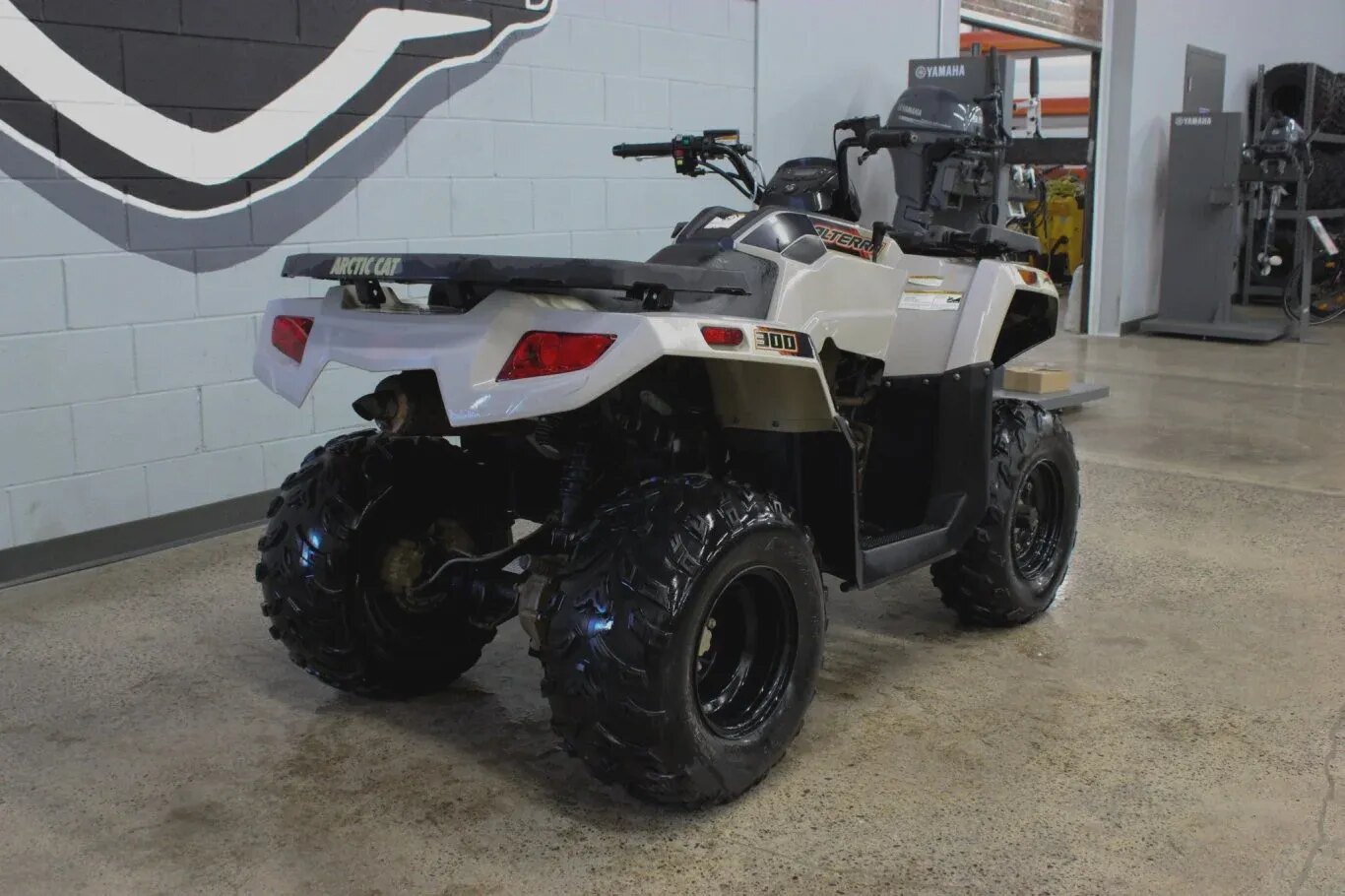 2022 Arctic Cat Alterra 300