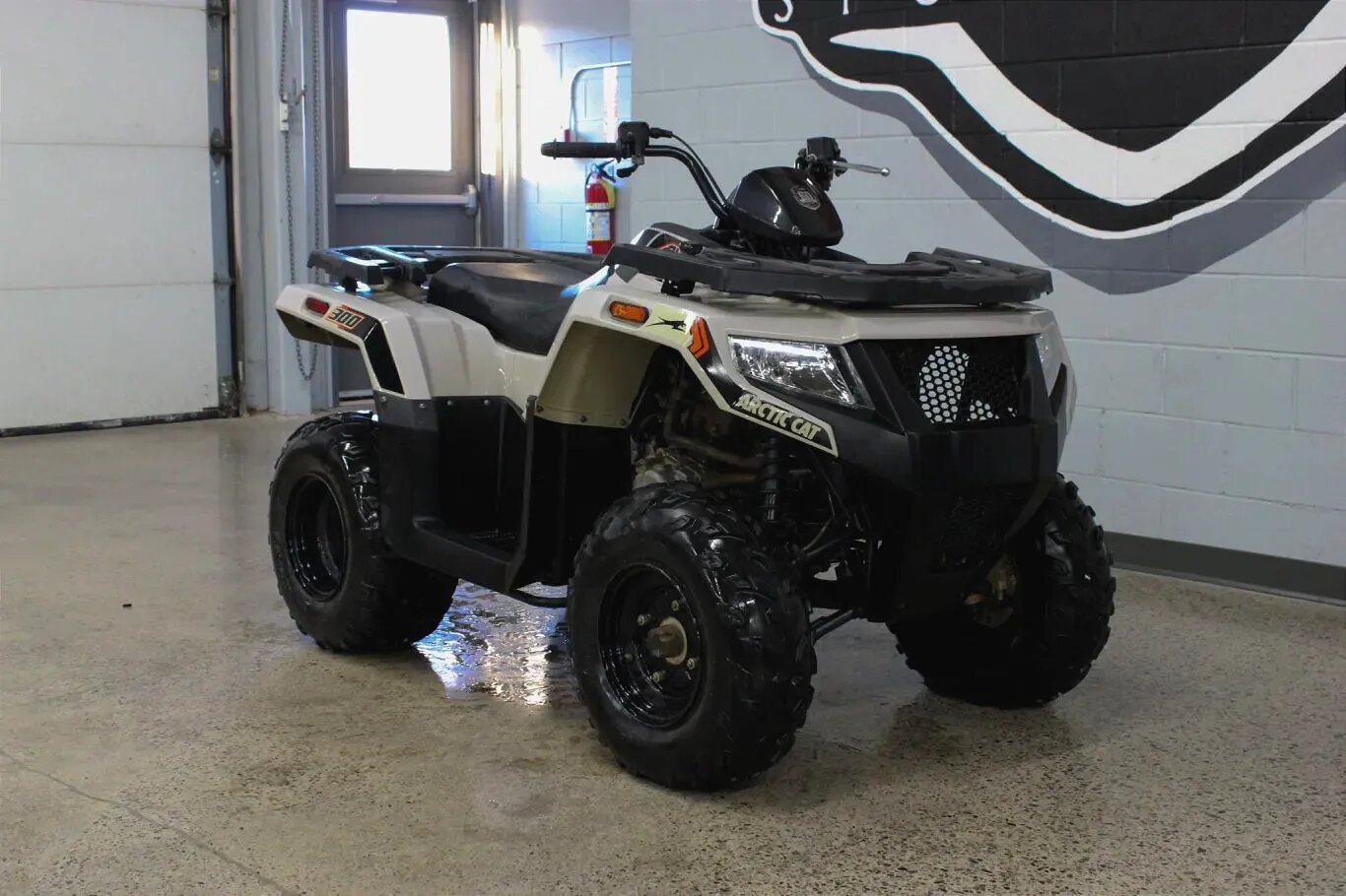 2022 Arctic Cat Alterra 300