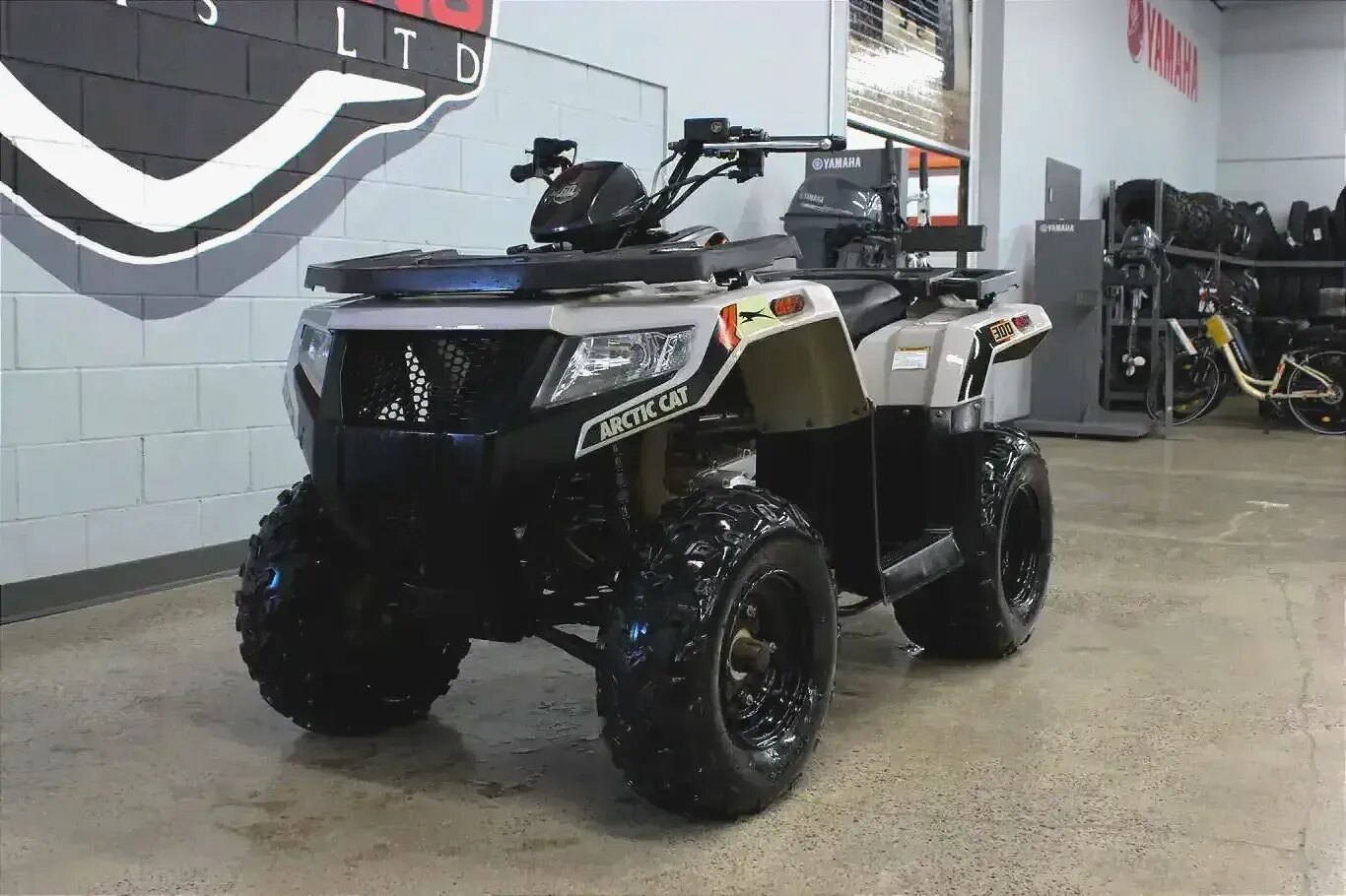 2022 Arctic Cat Alterra 300