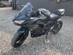 2025 Kawasaki Ninja 650
