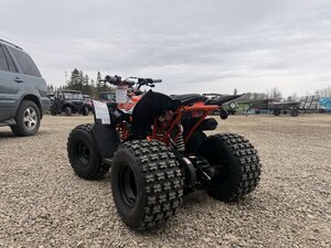 2026 Kayo Predator 125 EFI