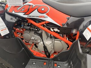 2026 Kayo Predator 125 EFI