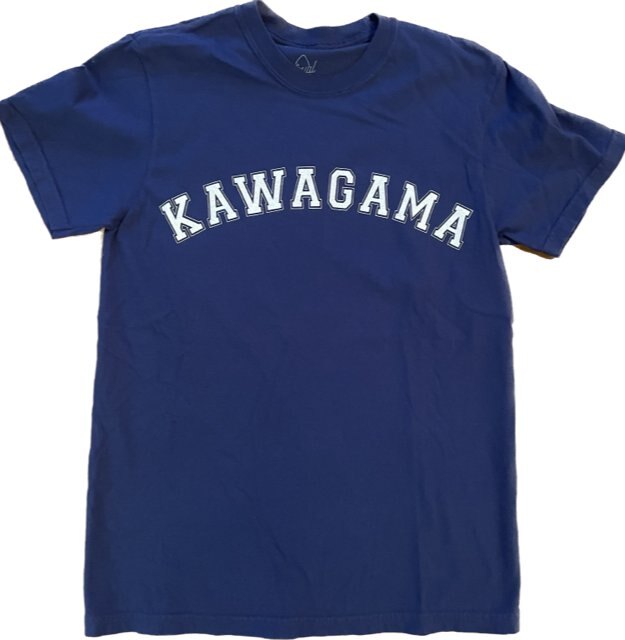 Kawagama Collegiate