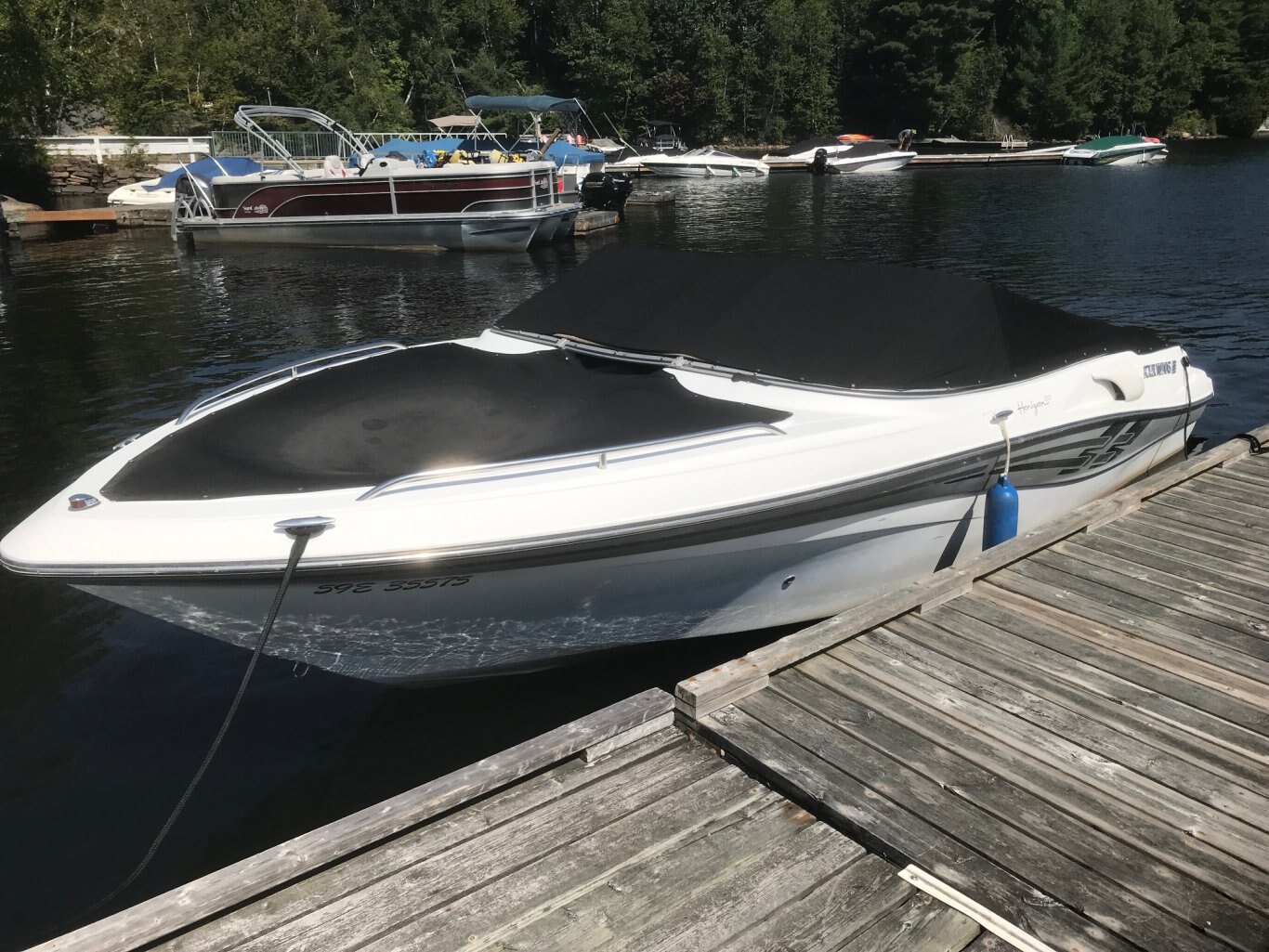 Fourwinns Horizon 210