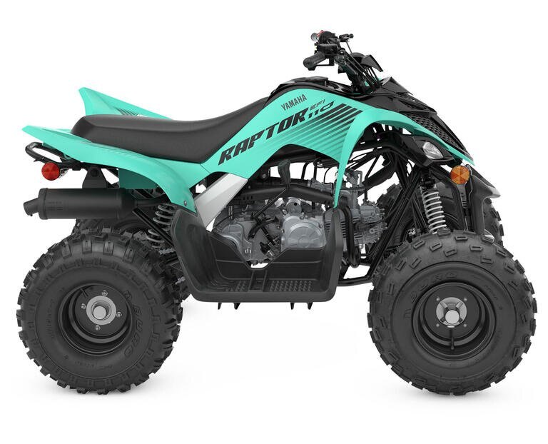 2024 YAMAHA RAPTOR 110