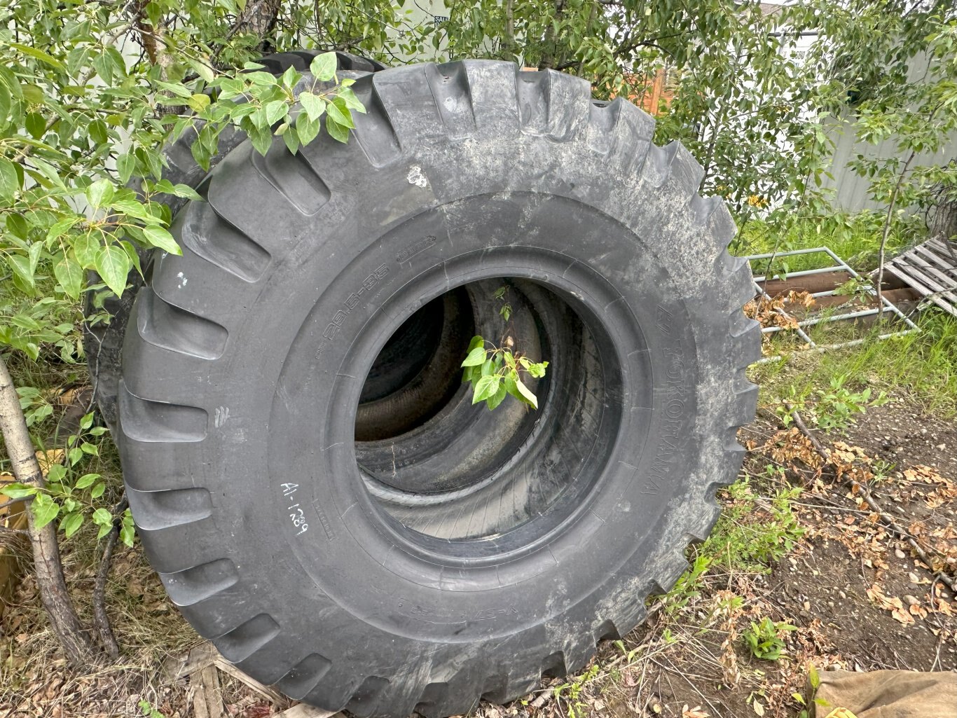 Scraper Tires 2New/2Used #9853 DP