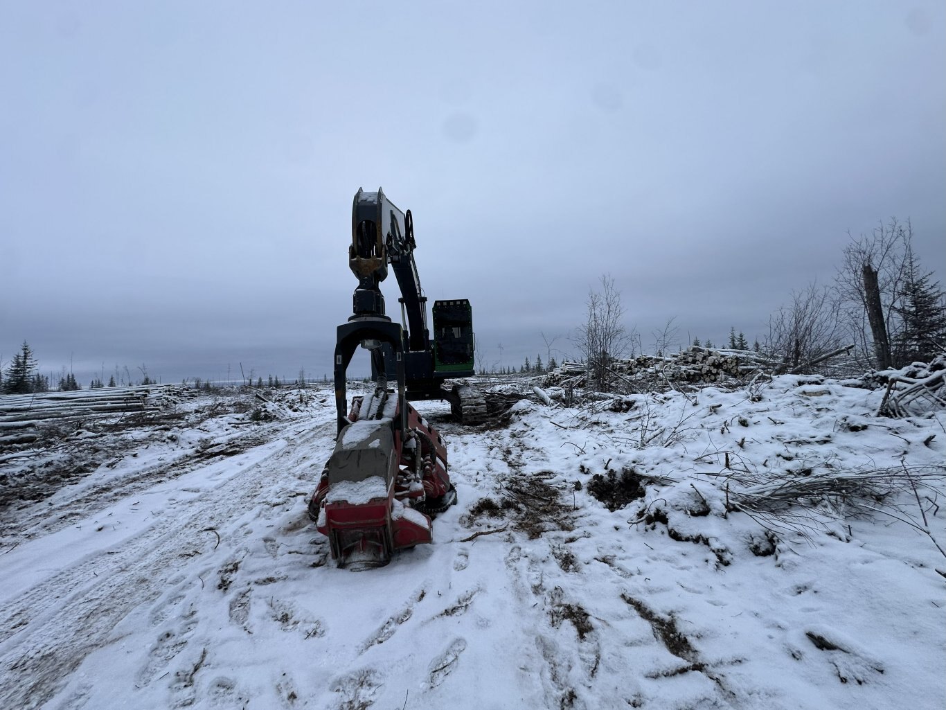 2019 Deere 2154G Processor w/ 622 Warratah Head #11314 DP
