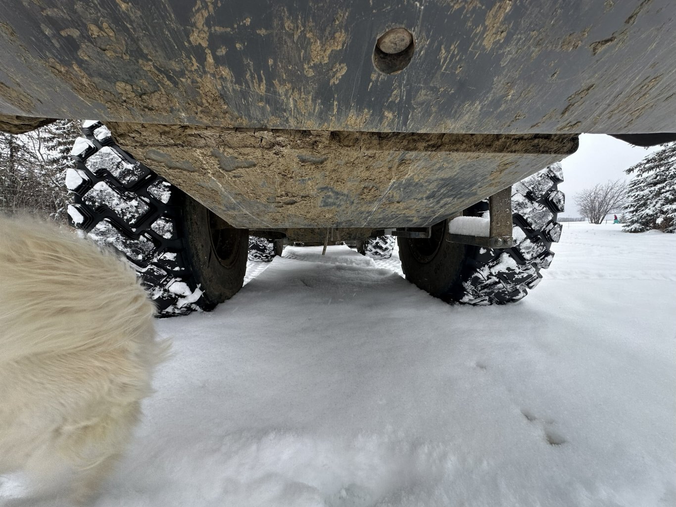 2019 Komatsu WA200 8 Wheel Loader w/ Bucket #11312 DP