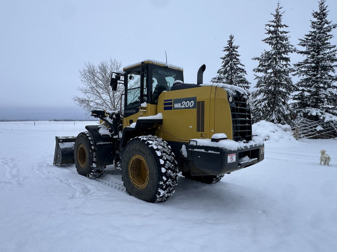 2019 Komatsu WA200 8 Wheel Loader w/ Bucket #11312 DP