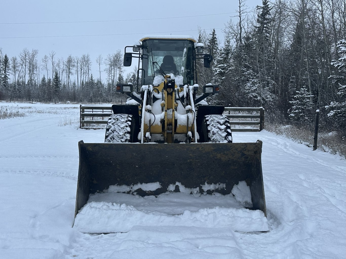 2019 Komatsu WA200 8 Wheel Loader w/ Bucket #11312 DP
