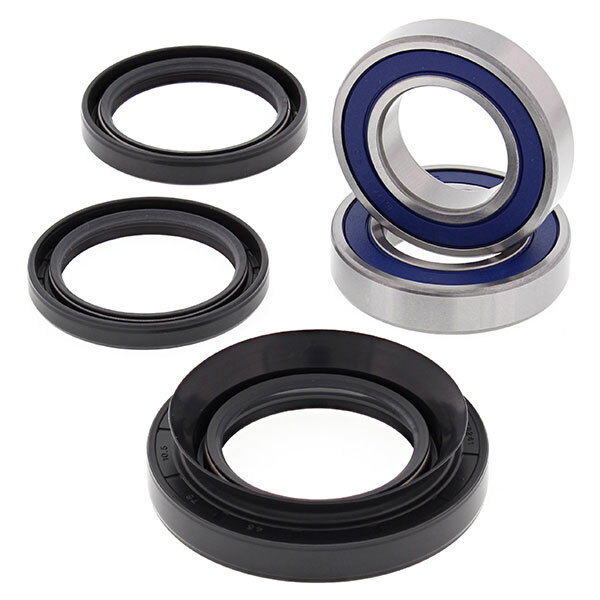 ALL BALLS WHEEL BEARING KIT (25 1029)