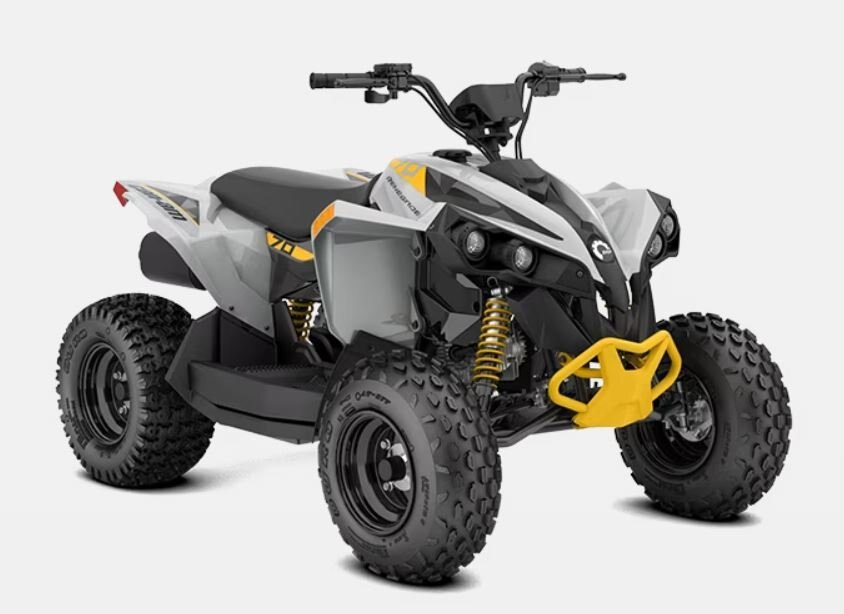 2024 Can-Am RENEGADE 70 EFI Catalyst gray-Neo yellow