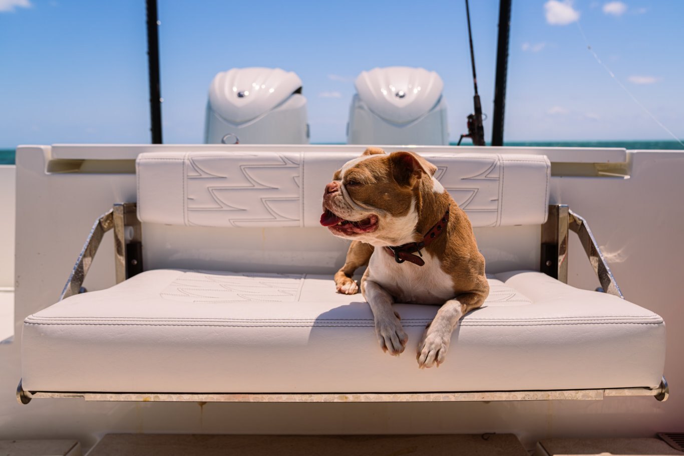 2026 Parker 247 EXPLORER