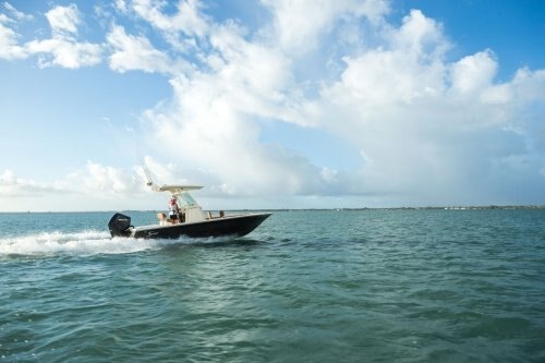 Mercury FourStroke 250HP Phantom Black