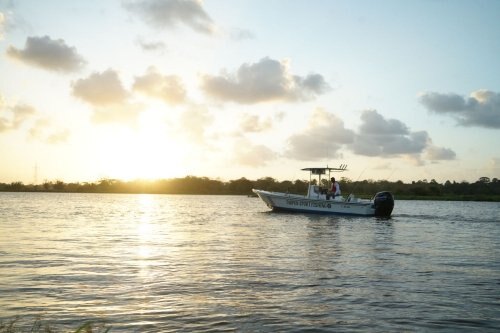 Mercury SeaPro 75hp