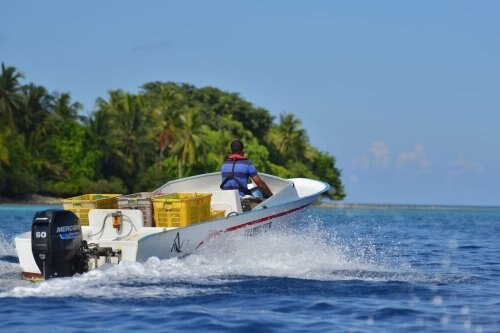 Mercury SeaPro 40HP