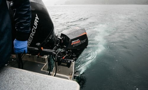 Mercury FourStroke: 15 EFI ProKicker