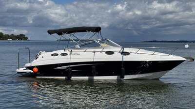 2014 GLastron Cruiser GS289