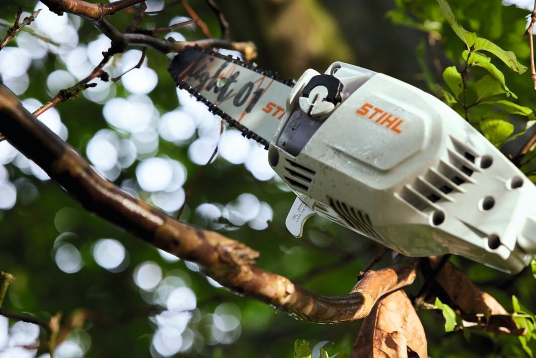 STIHL HTA 86 Cordless Telescopic Pruner AP SYSTEM