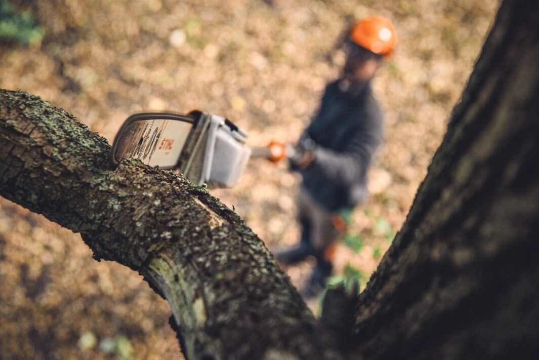 STIHL HTA 135 Cordless Telescopic Pruner AP SYSTEM