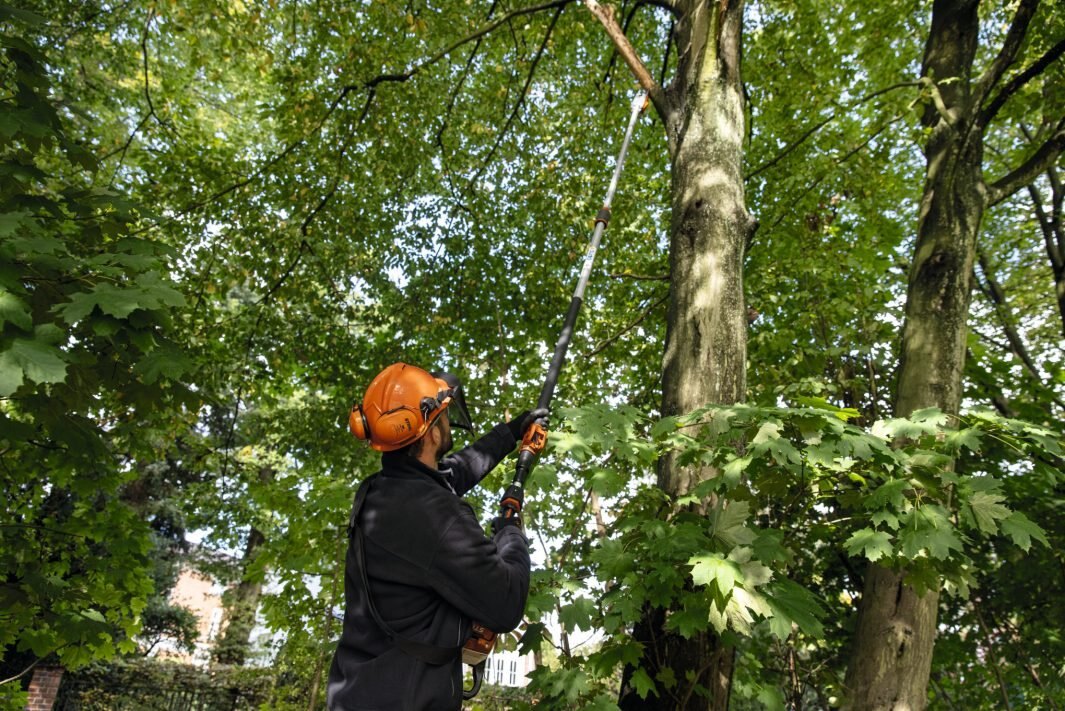 STIHL HTA 135 Cordless Telescopic Pruner AP SYSTEM