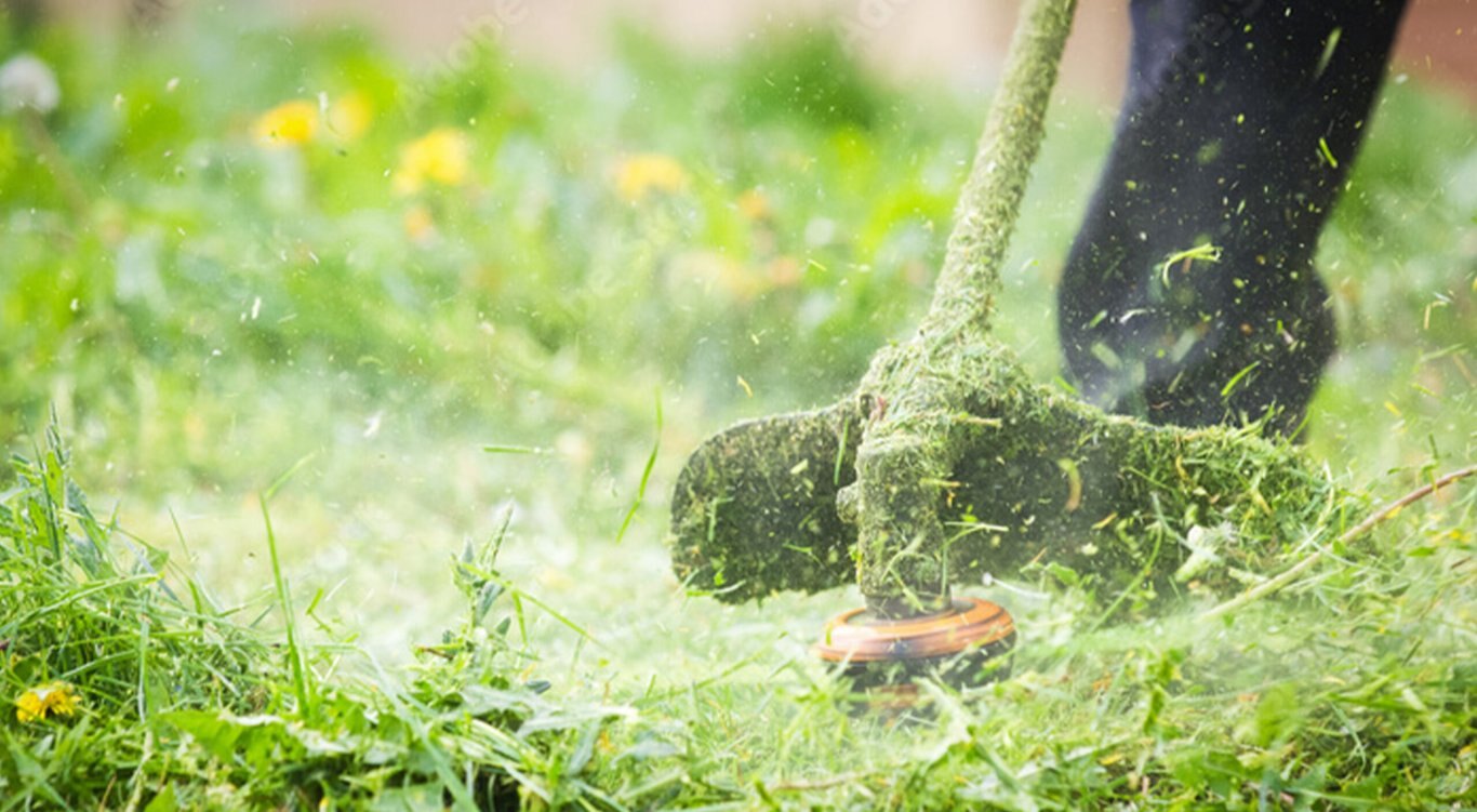 Keeping a Healthy Garden: A Guide to Tillers and Handheld Trimmers