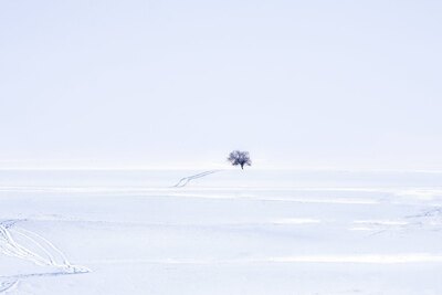 How to Remove and Replace CAMSO Track Kits for Your ATV