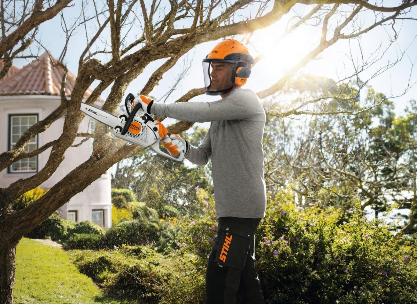 STIHL MS151 C E Z Chain Saw 12